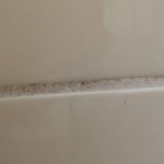 Voeg badkamer voor borstel